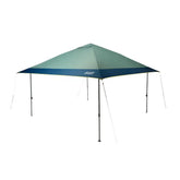 OASIS™ 10 x 10 Canopy-Moss
