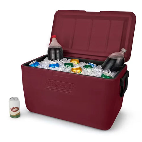 Chiller™ 48-Quart Cooler-Cranberry