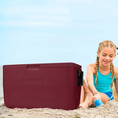 Chiller™ 48-Quart Cooler-Cranberry