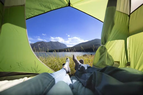 Sundome® 4-Person Camping Tent-Palm Green