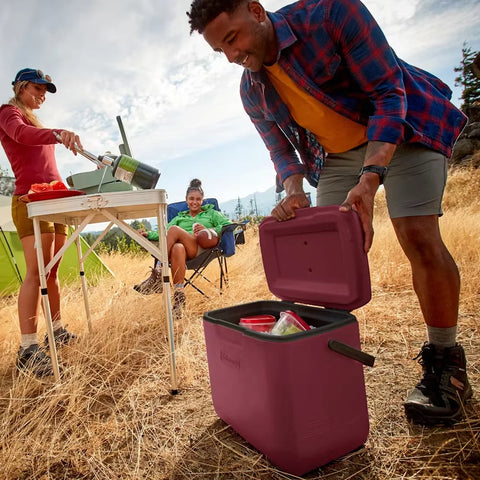 Chiller™ 30-Quart Portable Cooler-Cranberry