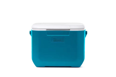 Chiller™ 16-Quart Portable Cooler-Sapphire