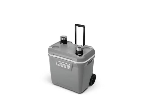 316 Series™ 65-Quart Hard Cooler-Rock