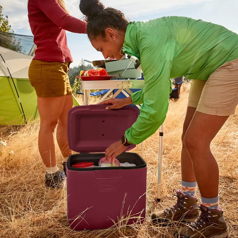 Chiller™ 30-Quart Portable Cooler-Cranberry