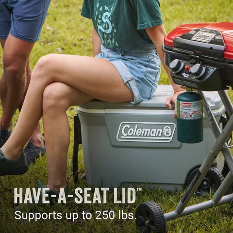 Classic Series 62-Quart Hard Cooler-Rock