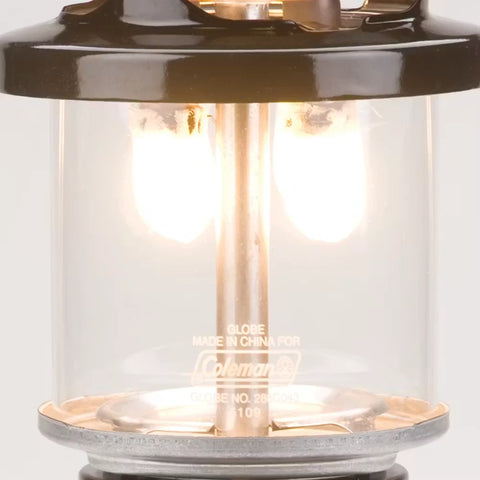 Deluxe Propane Lantern with Case