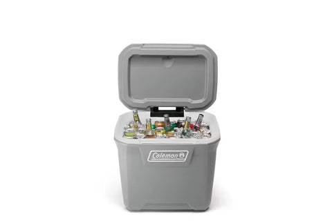 316 Series™ 65-Quart Hard Cooler-Rock