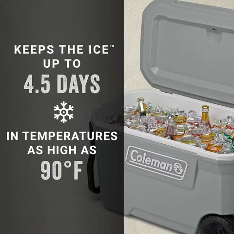 Classic Series 62-Quart Hard Cooler-Rock