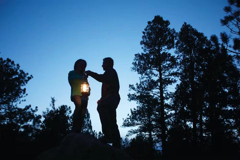 NorthStar® 1500 Lumens 1-Mantle Propane Lantern
